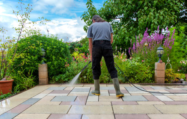 Best Fence Cleaning  in Alpha, NJ