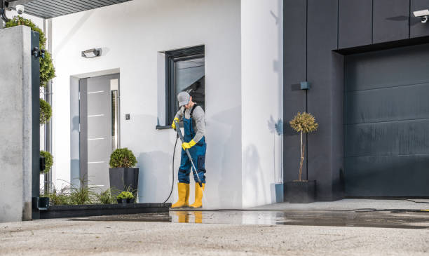 Best Soft Washing  in Alpha, NJ